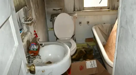 Shocking Waterbury Case: Stepmom's Alleged Abuse Exposed (video)